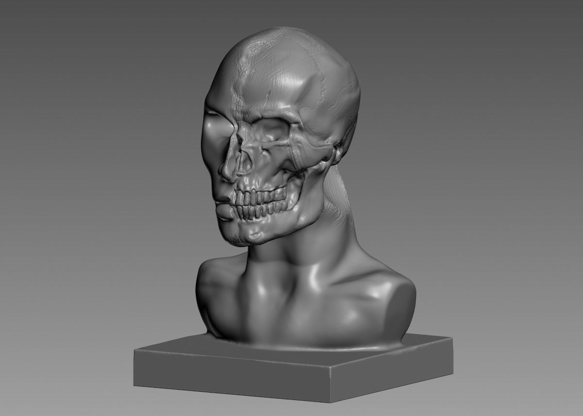 Half face half skull 3d print model 3D print model_40