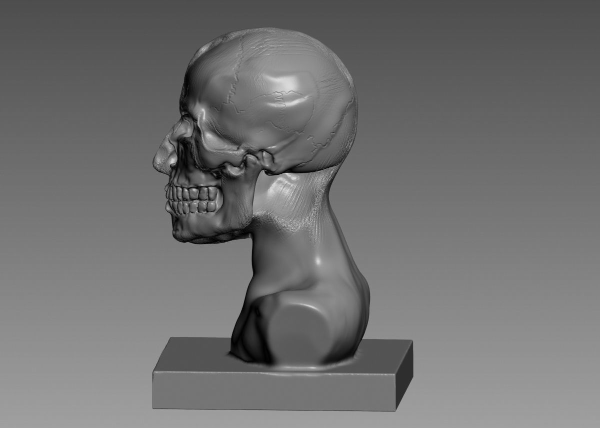 Half face half skull 3d print model 3D print model_33