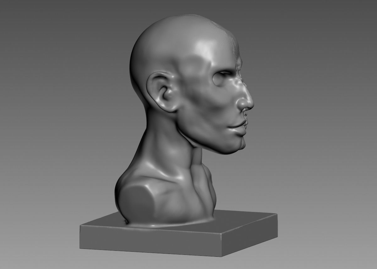 Half face half skull 3d print model 3D print model_11