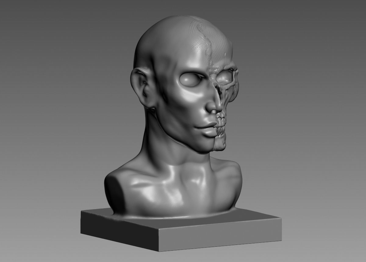 Half face half skull 3d print model 3D print model_7