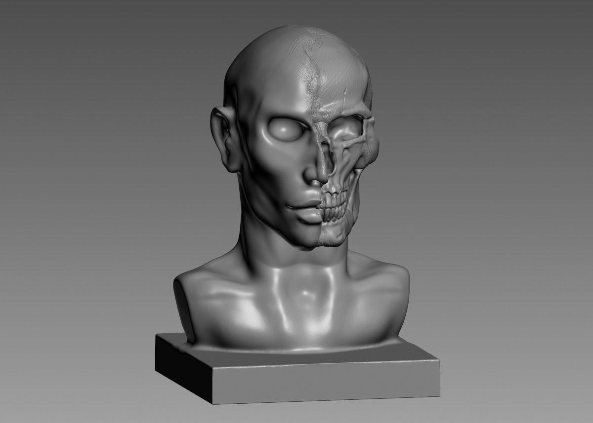 Half face half skull 3d print model 3D print model_45