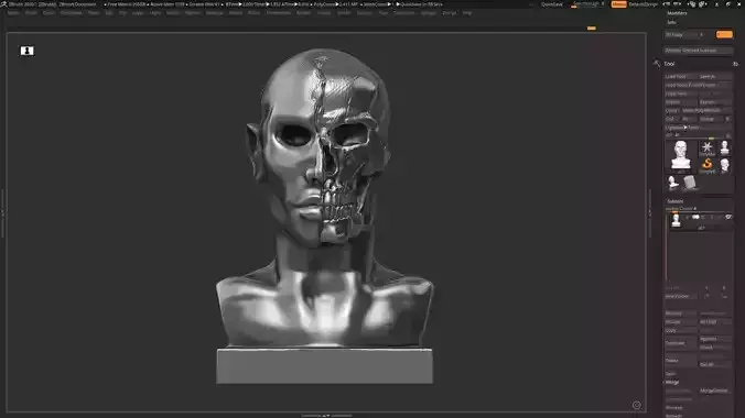Half face half skull 3d print model 3D print model