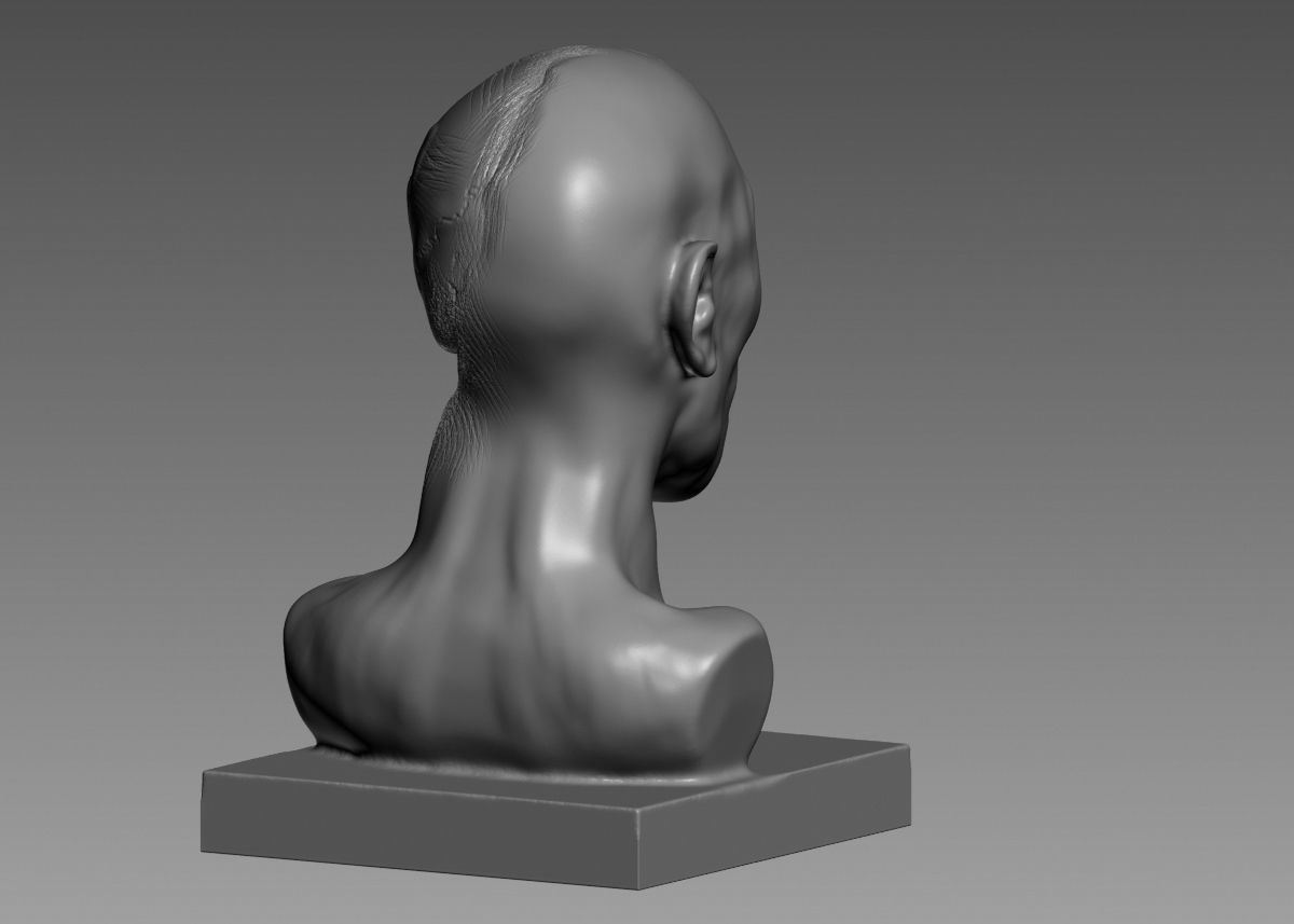 Half face half skull 3d print model 3D print model_20