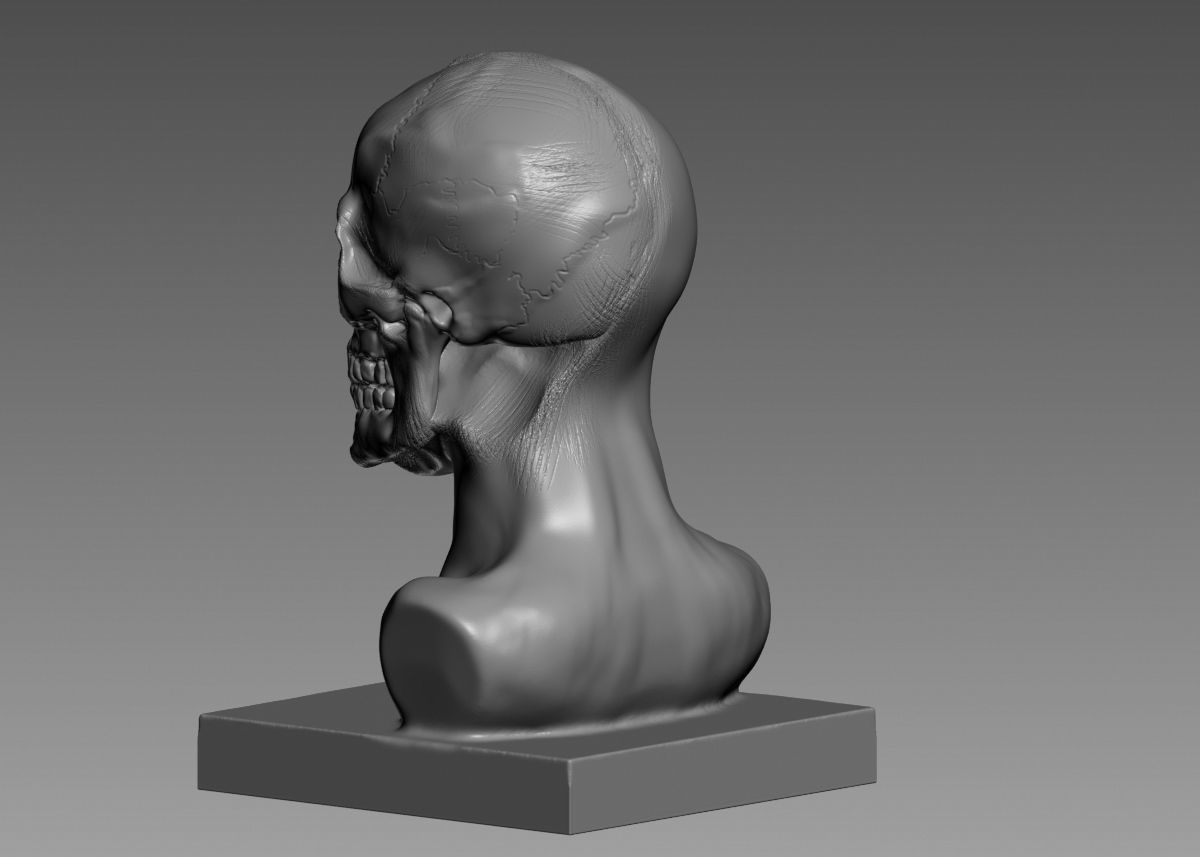 Half face half skull 3d print model 3D print model_29