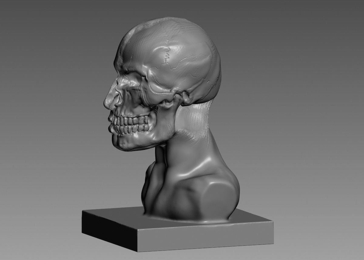 Half face half skull 3d print model 3D print model_36