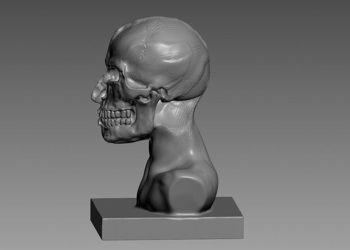 Half face half skull 3d print model 3D print model_34