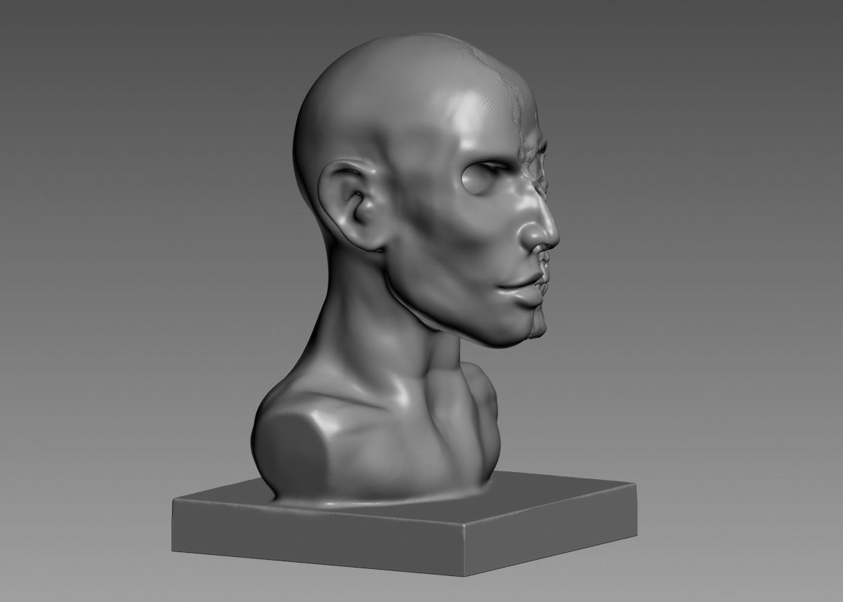 Half face half skull 3d print model 3D print model_10