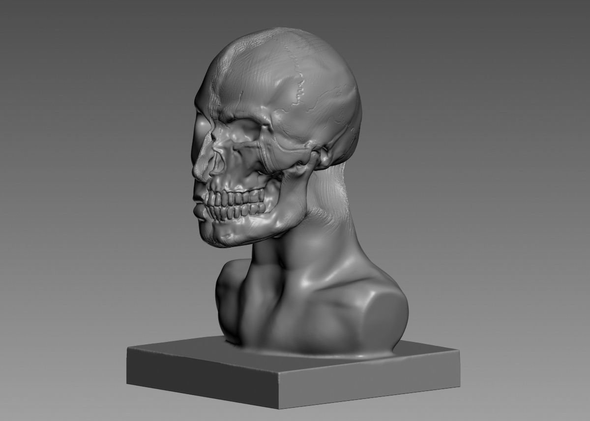 Half face half skull 3d print model 3D print model_38