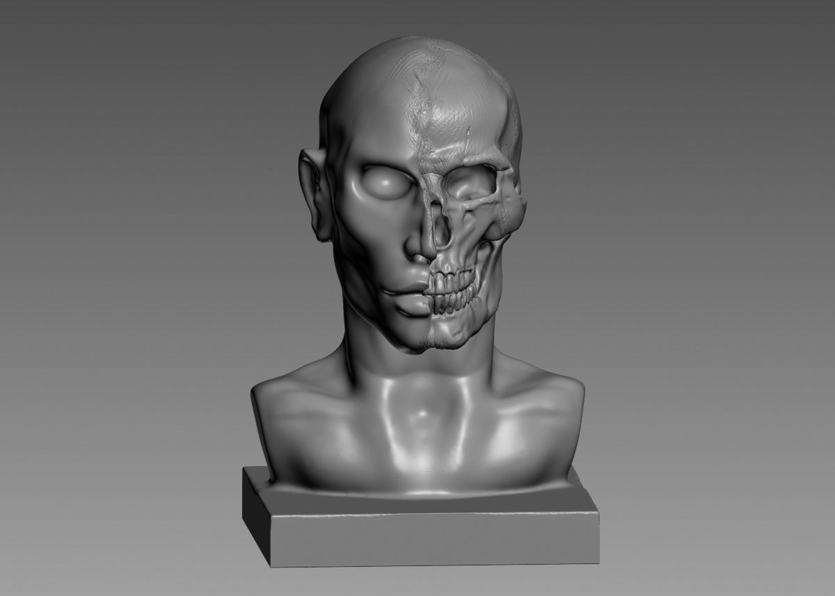 Half face half skull 3d print model 3D print model_44