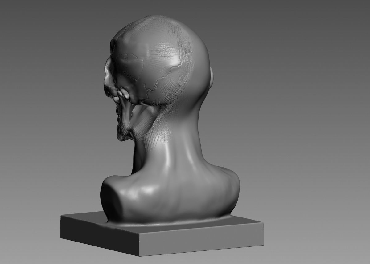 Half face half skull 3d print model 3D print model_27