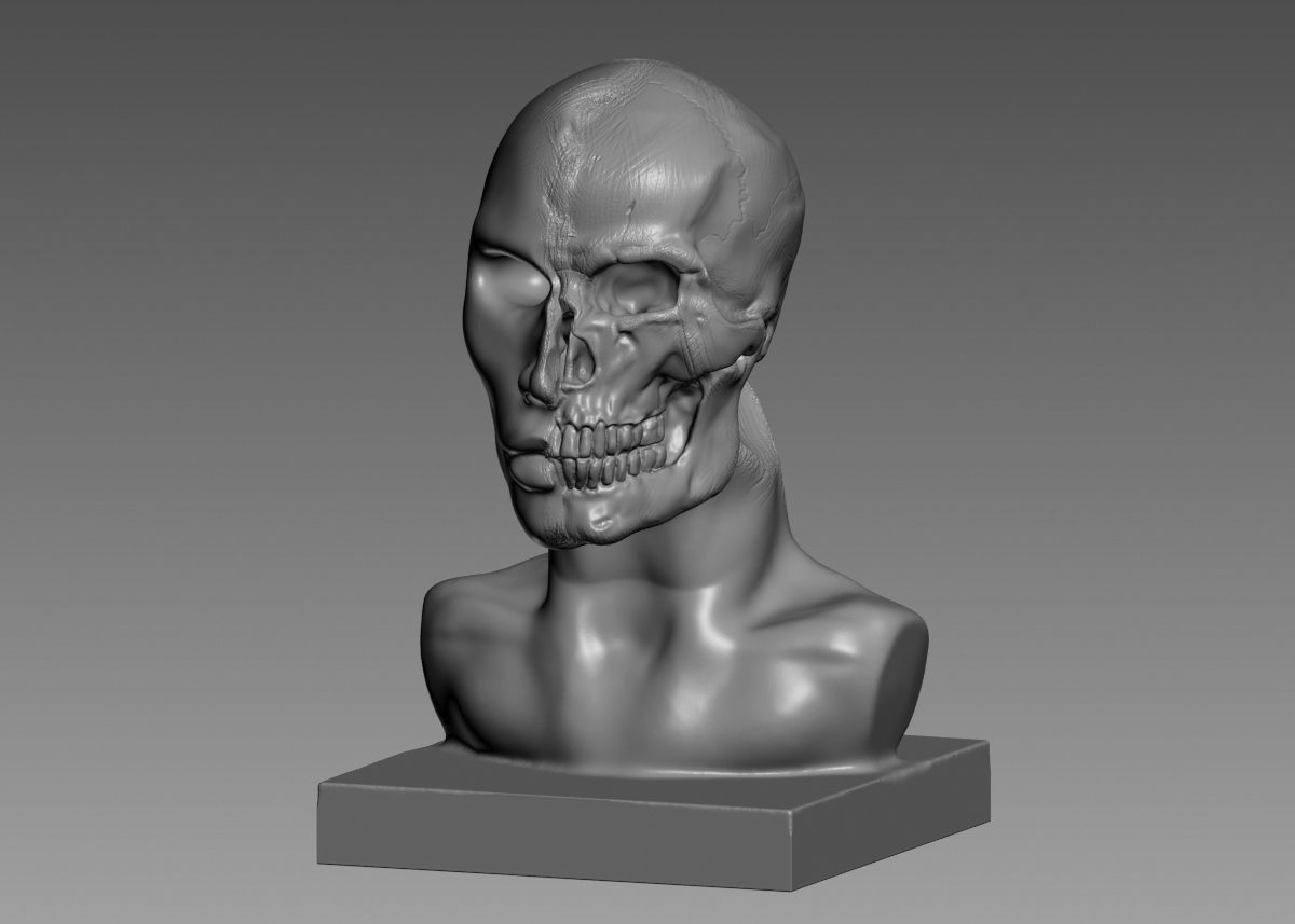 Half face half skull 3d print model 3D print model_41