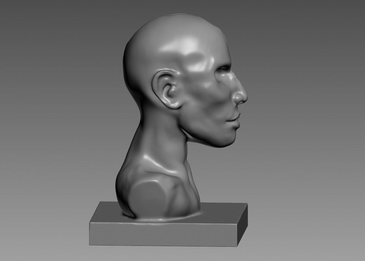 Half face half skull 3d print model 3D print model_13