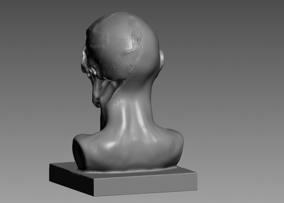 Half face half skull 3d print model 3D print model_26
