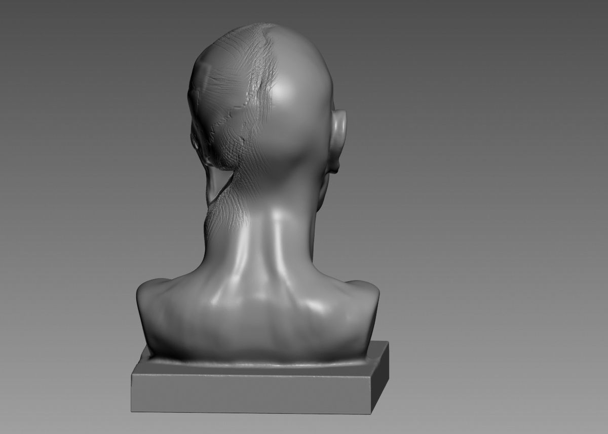 Half face half skull 3d print model 3D print model_23