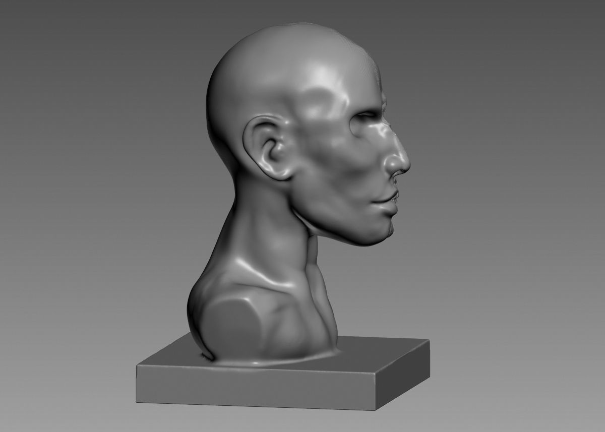 Half face half skull 3d print model 3D print model_12