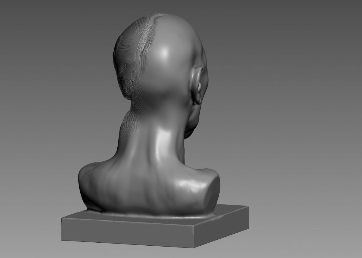 Half face half skull 3d print model 3D print model_21