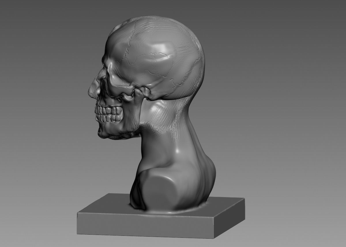 Half face half skull 3d print model 3D print model_32