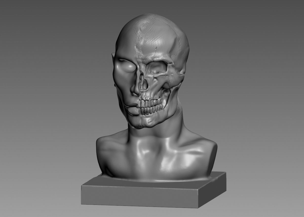 Half face half skull 3d print model 3D print model_42
