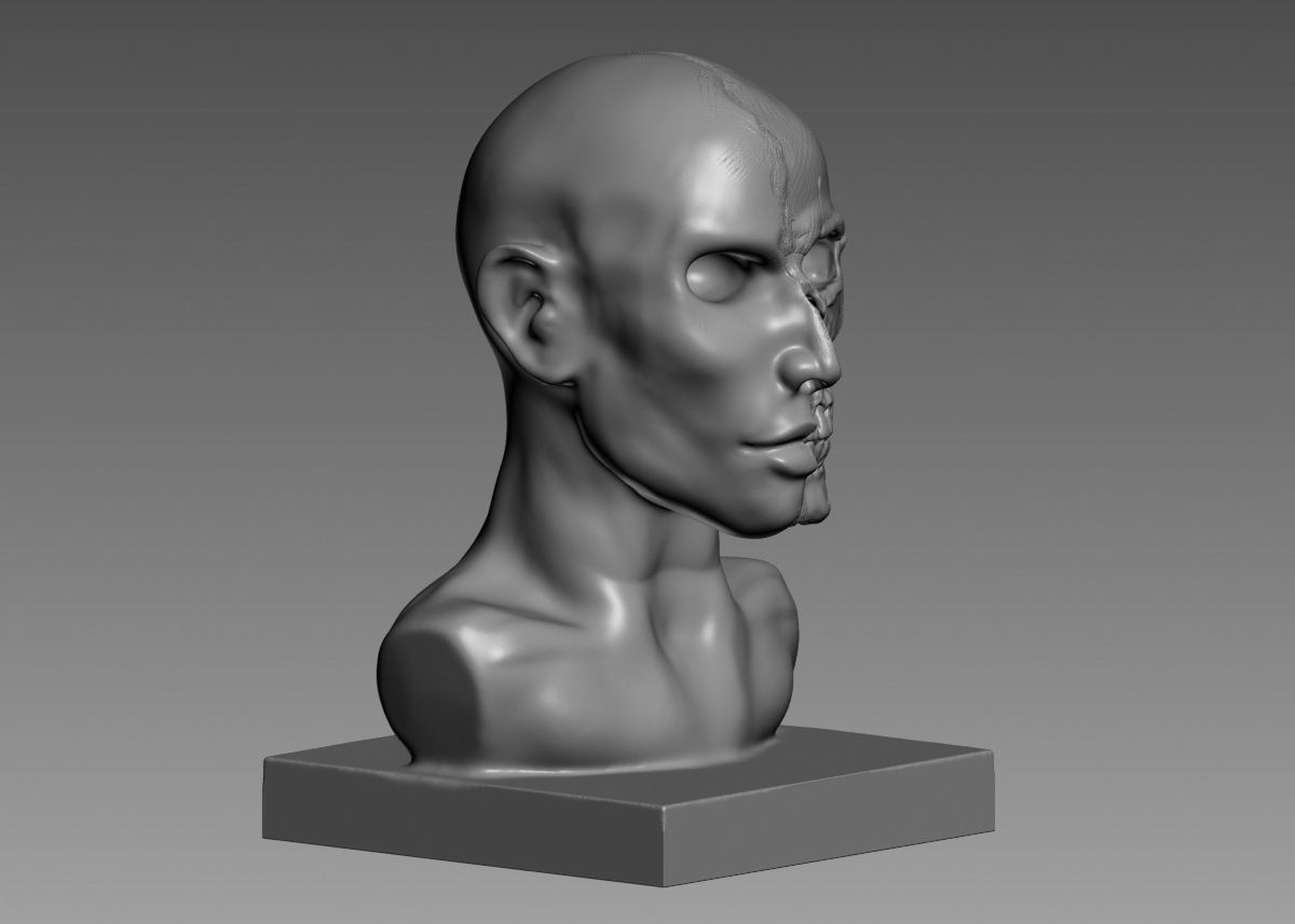Half face half skull 3d print model 3D print model_9