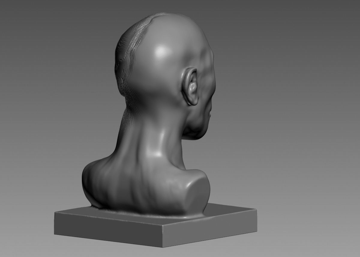 Half face half skull 3d print model 3D print model_19