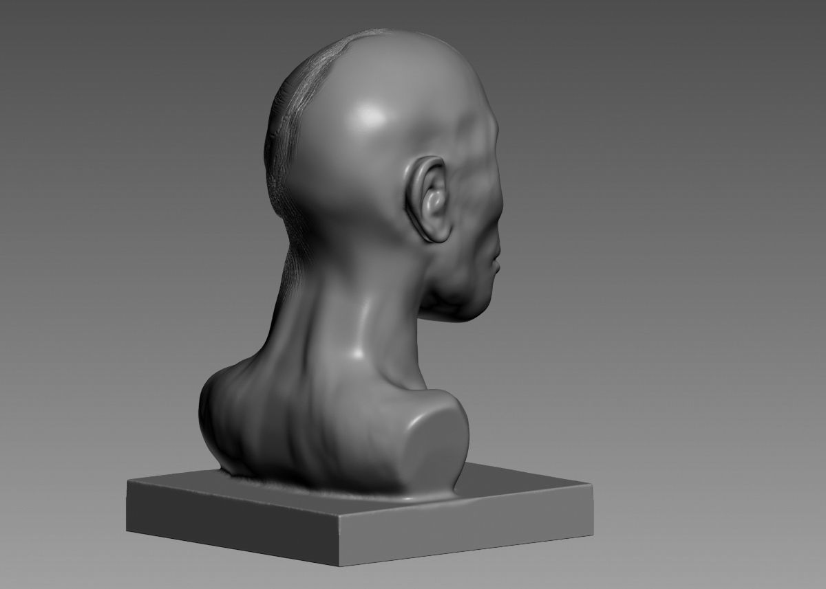 Half face half skull 3d print model 3D print model_18