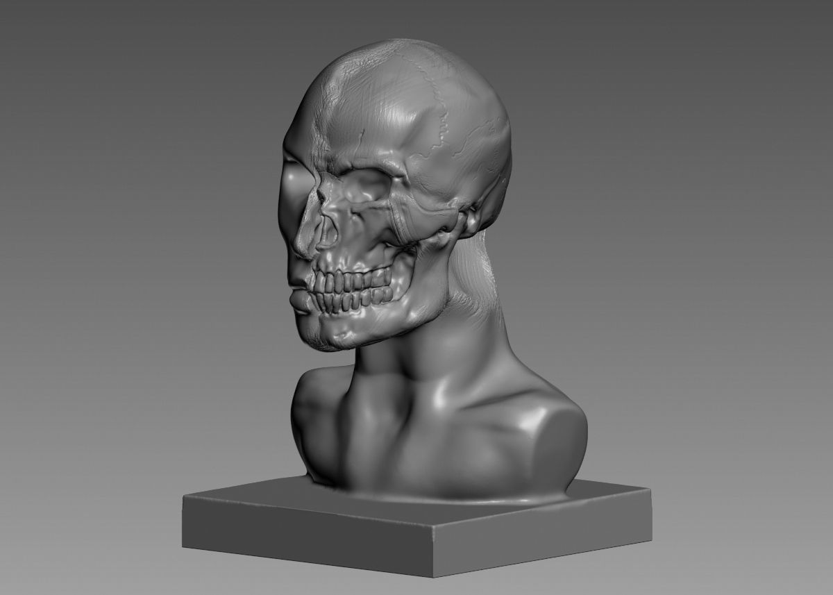 Half face half skull 3d print model 3D print model_39