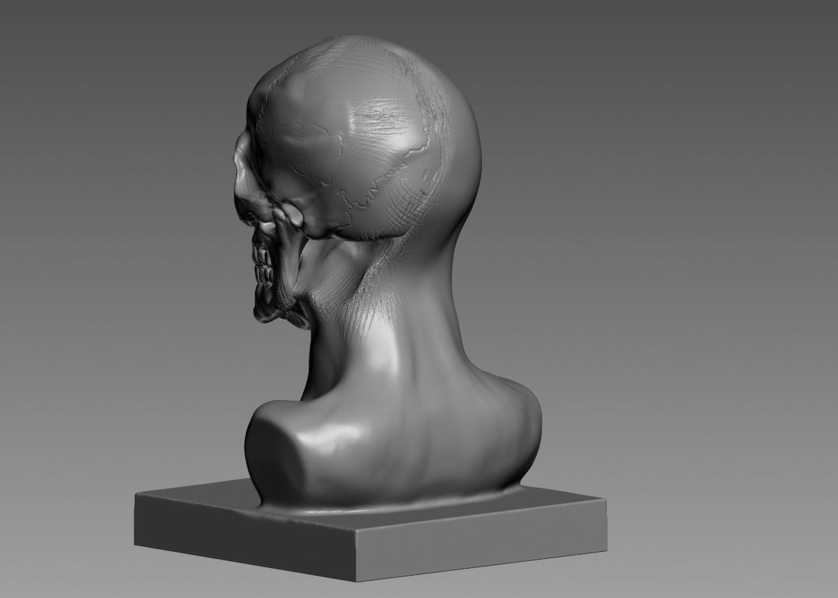Half face half skull 3d print model 3D print model_28