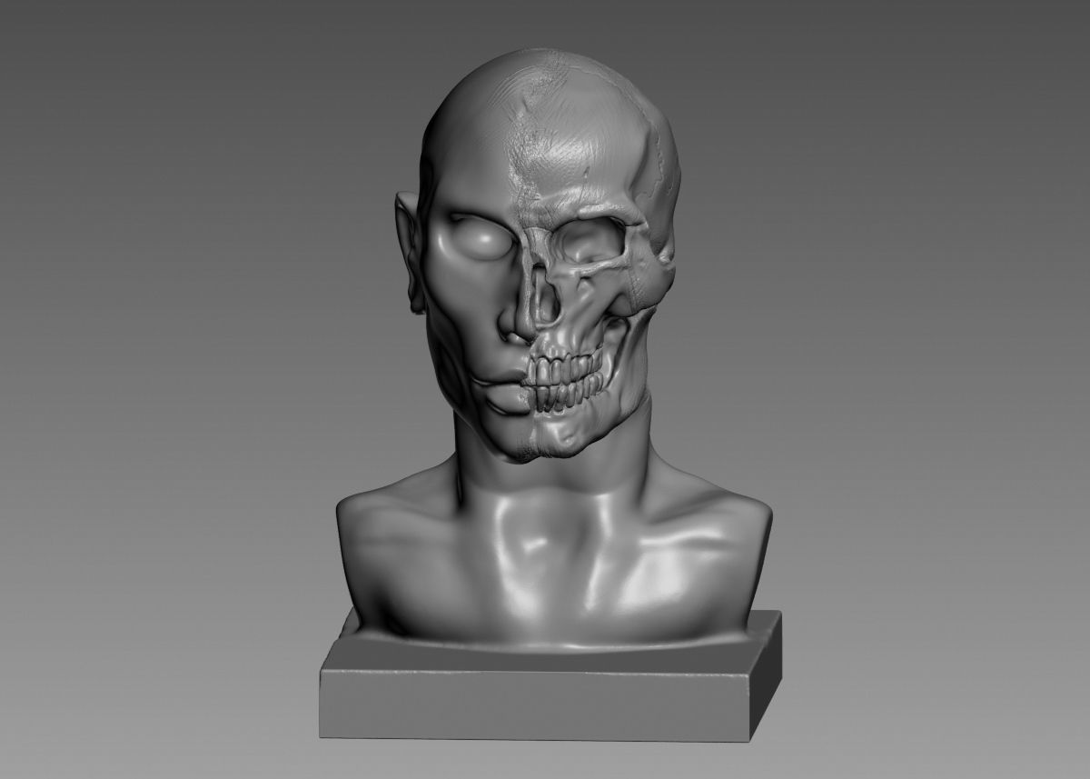 Half face half skull 3d print model 3D print model_43