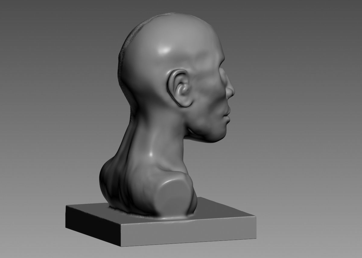 Half face half skull 3d print model 3D print model_16