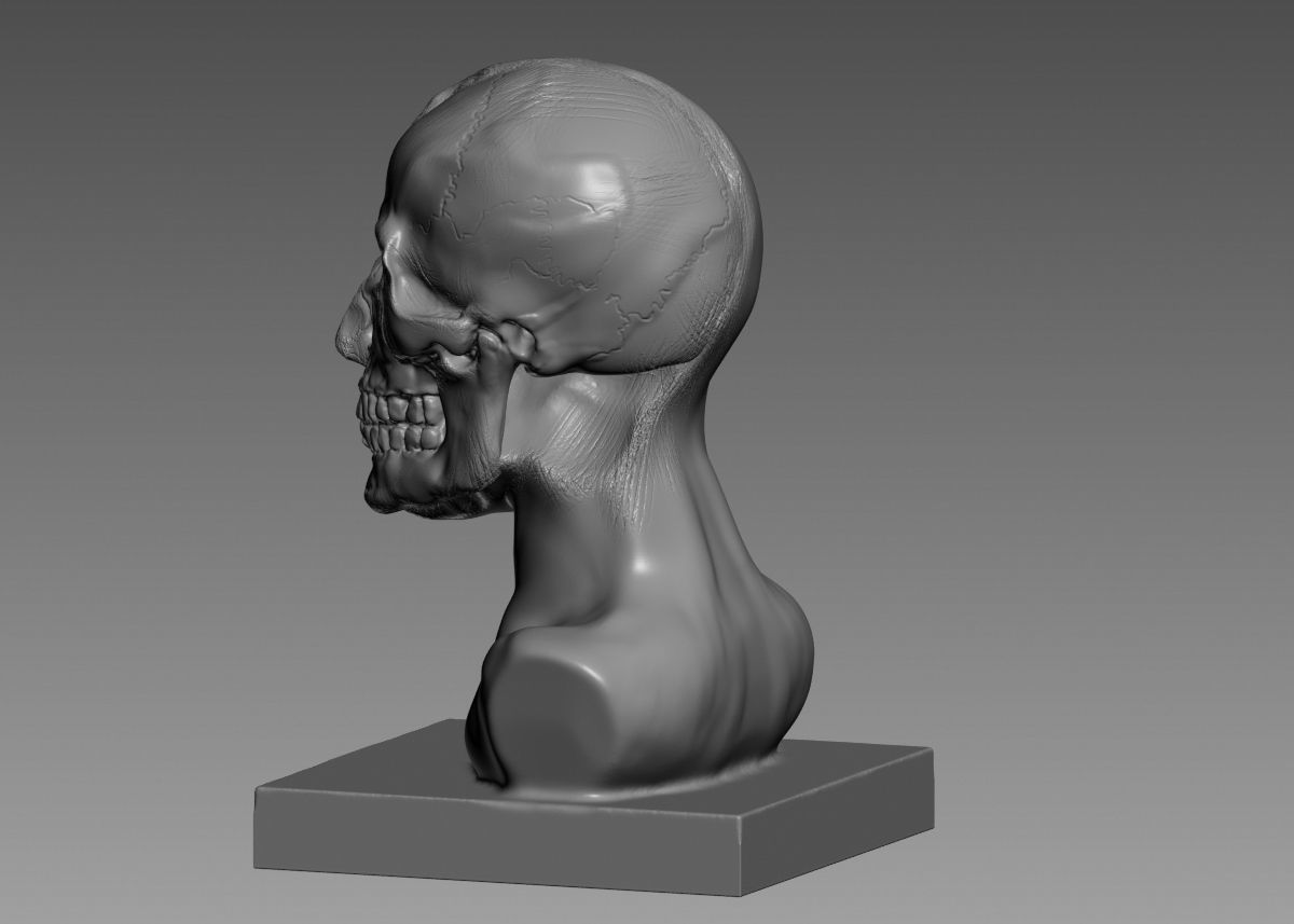Half face half skull 3d print model 3D print model_31