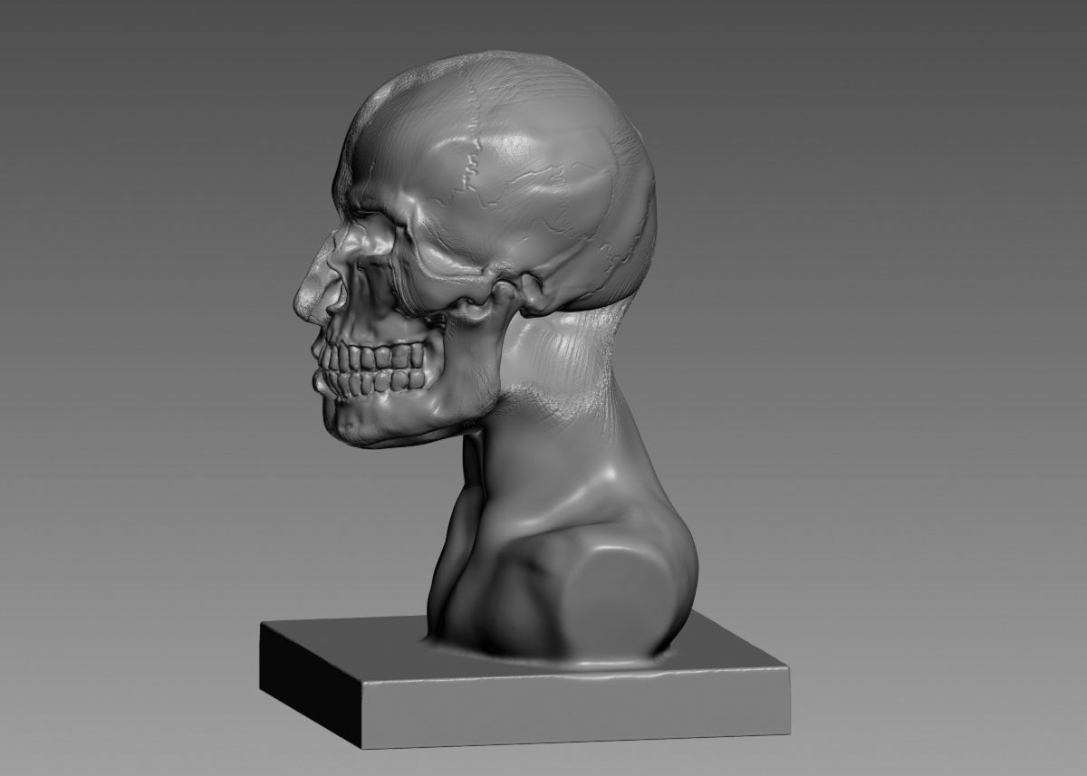 Half face half skull 3d print model 3D print model_35