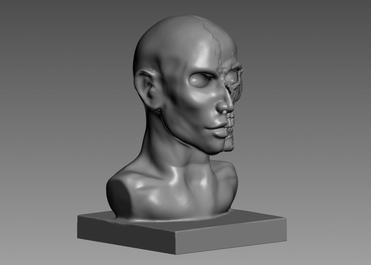 Half face half skull 3d print model 3D print model_8