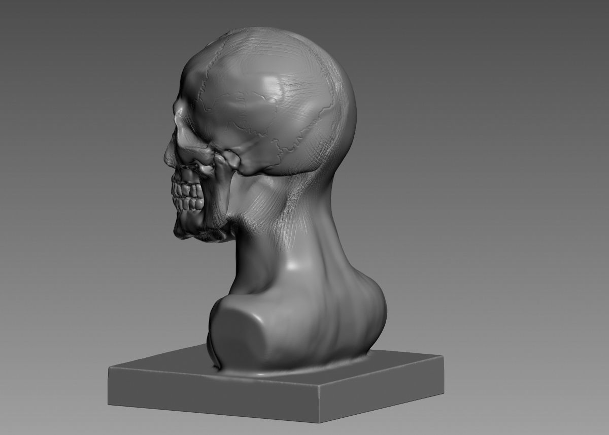 Half face half skull 3d print model 3D print model_30