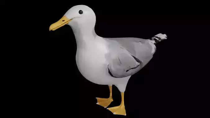Seagull Low-poly 3D model
