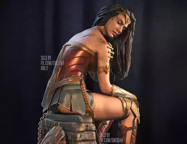 Wonder Woman - Battle Scarred 3D print model