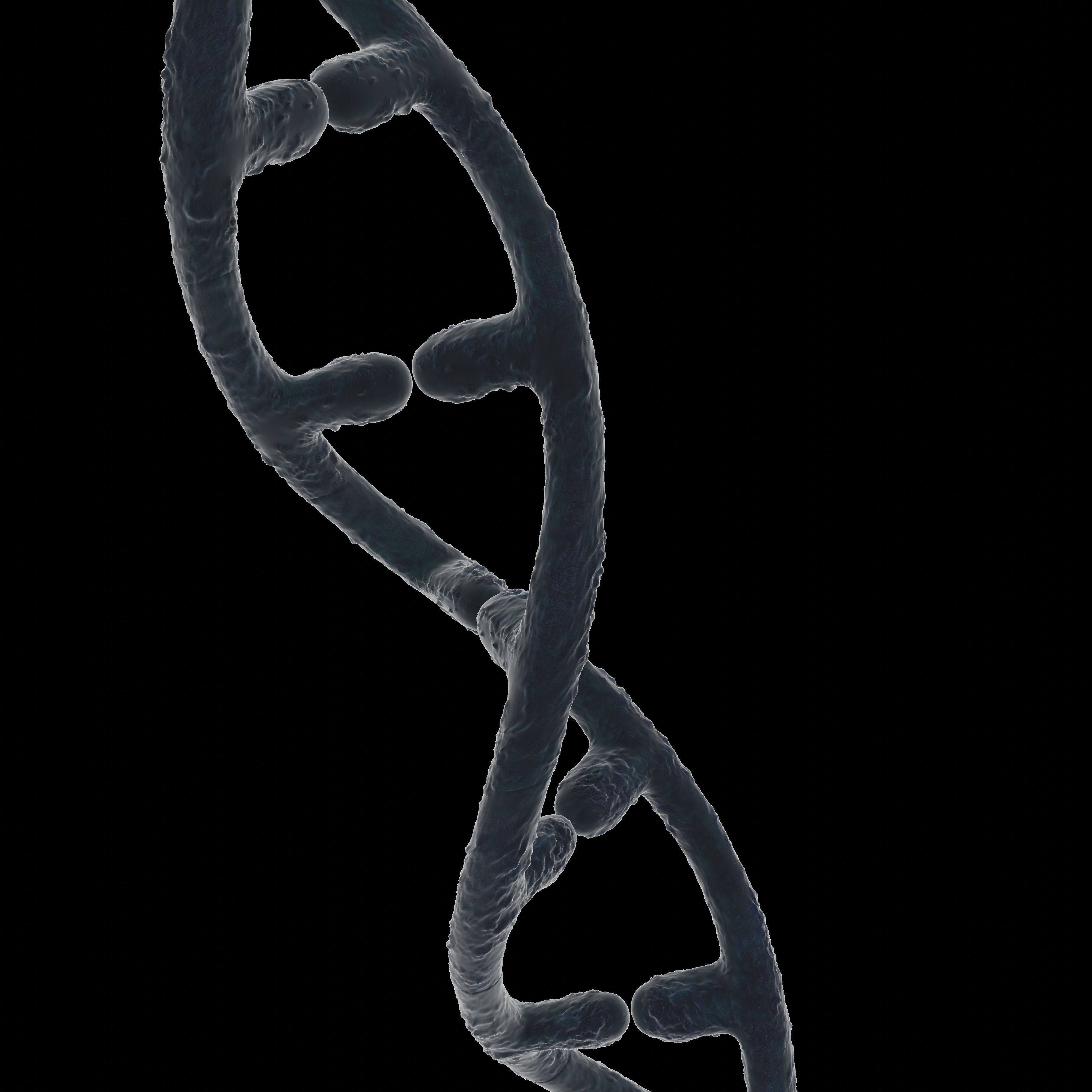 DNA helix 3D model_4