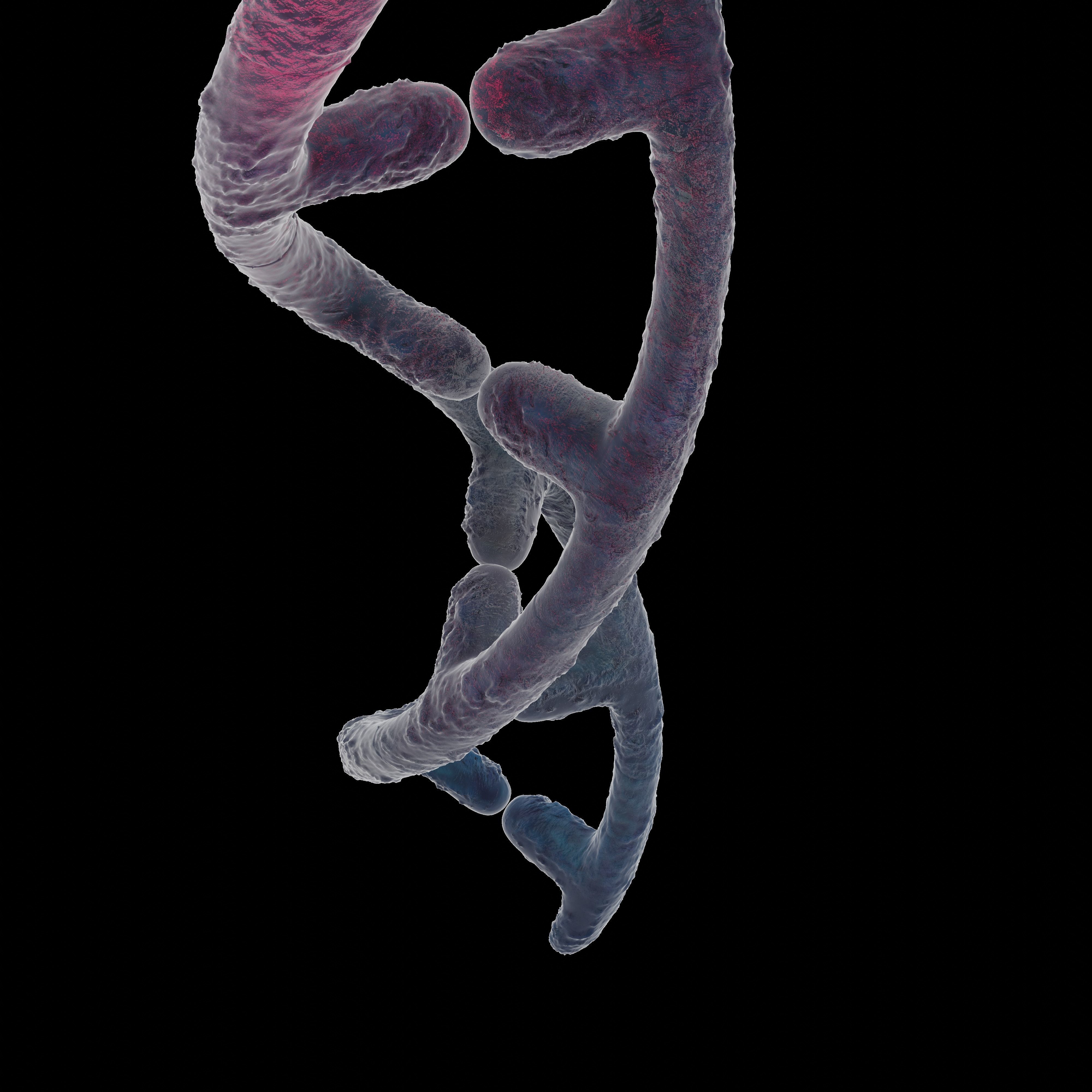 DNA helix 3D model_6