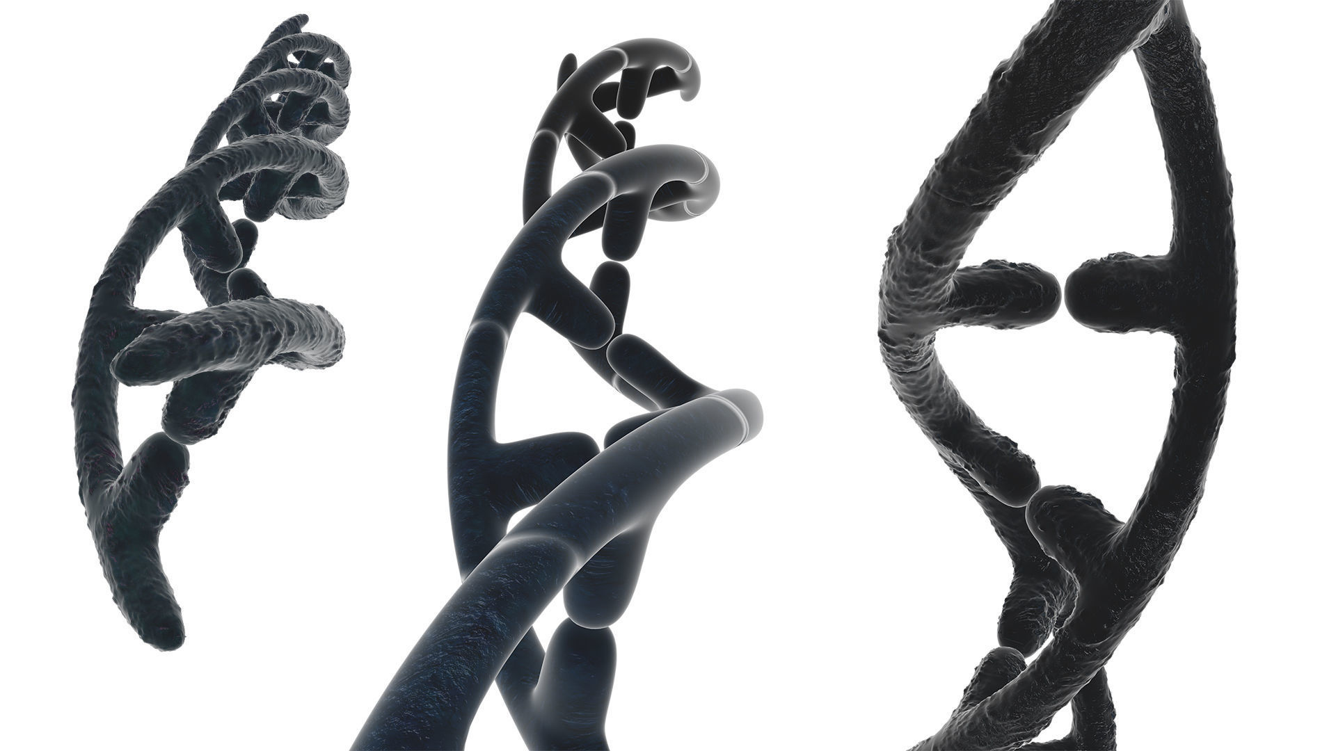 DNA helix 3D model_1