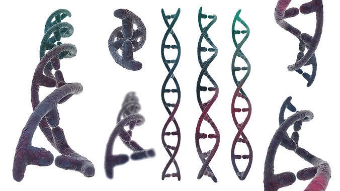 DNA helix 3D model