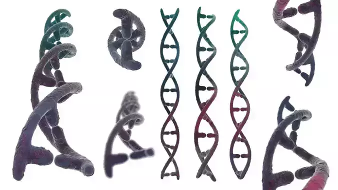 DNA helix 3D model