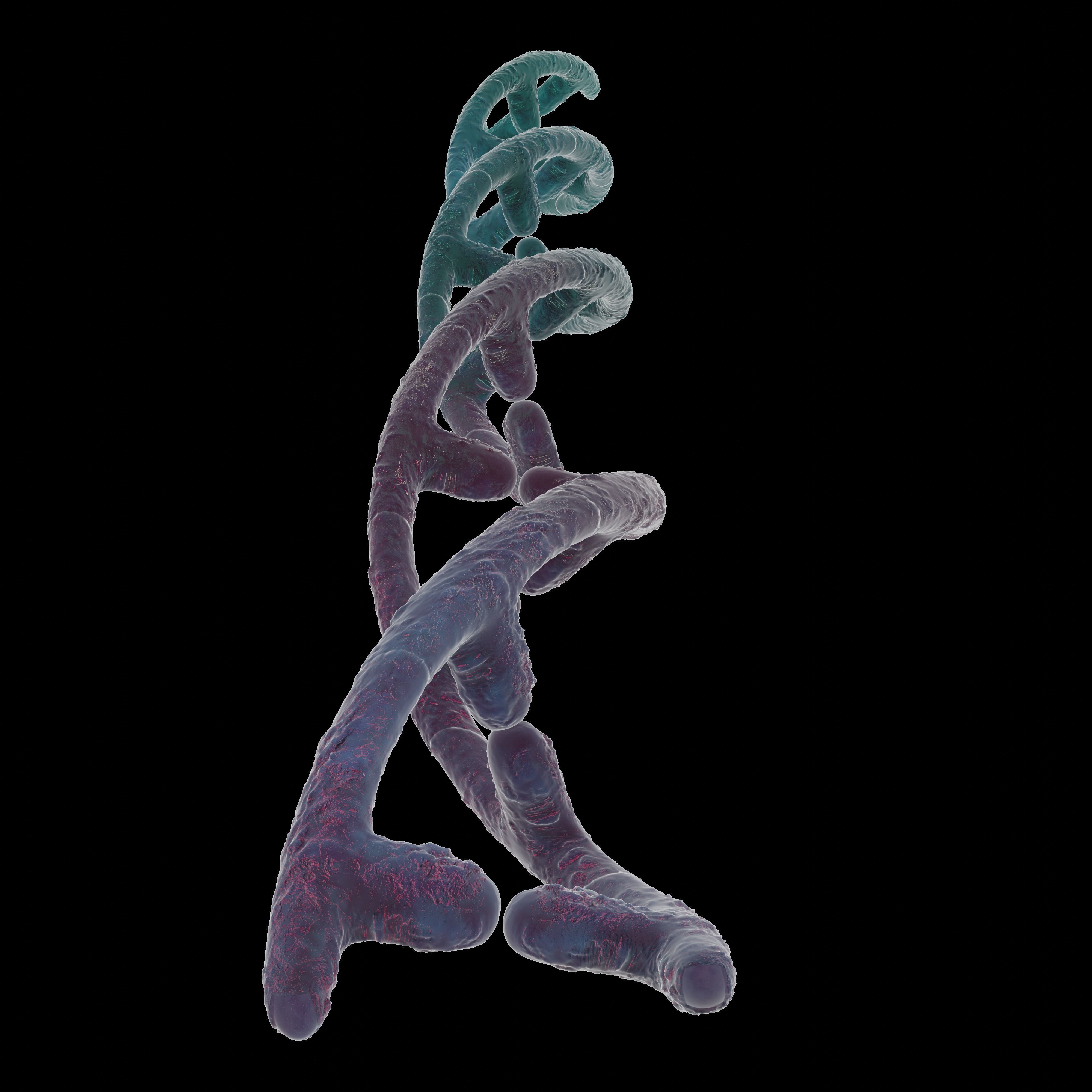 DNA helix 3D model_5