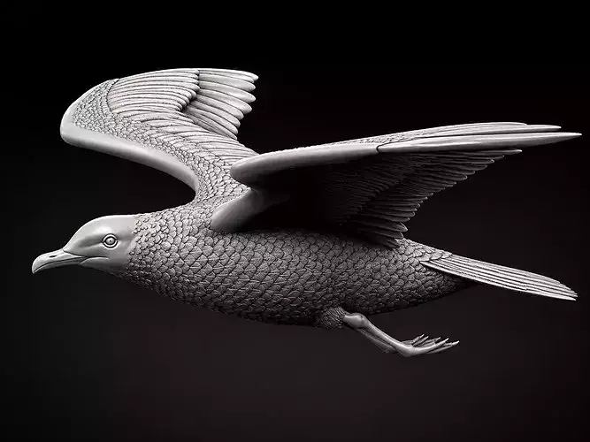 Seagull