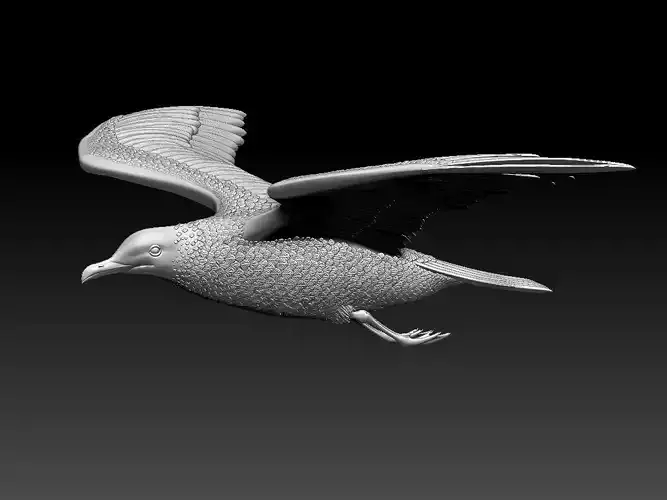 Seagull 3D print model