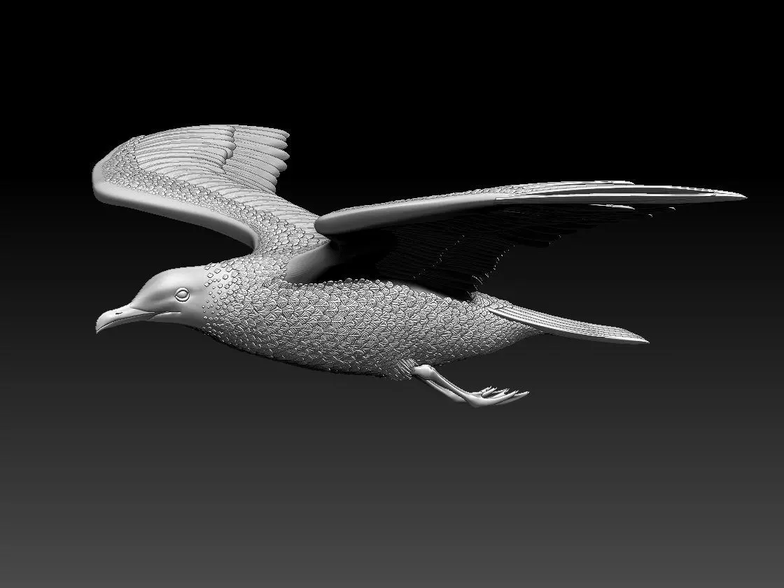 Seagull 3D print model