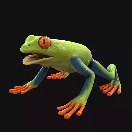 Frog Green