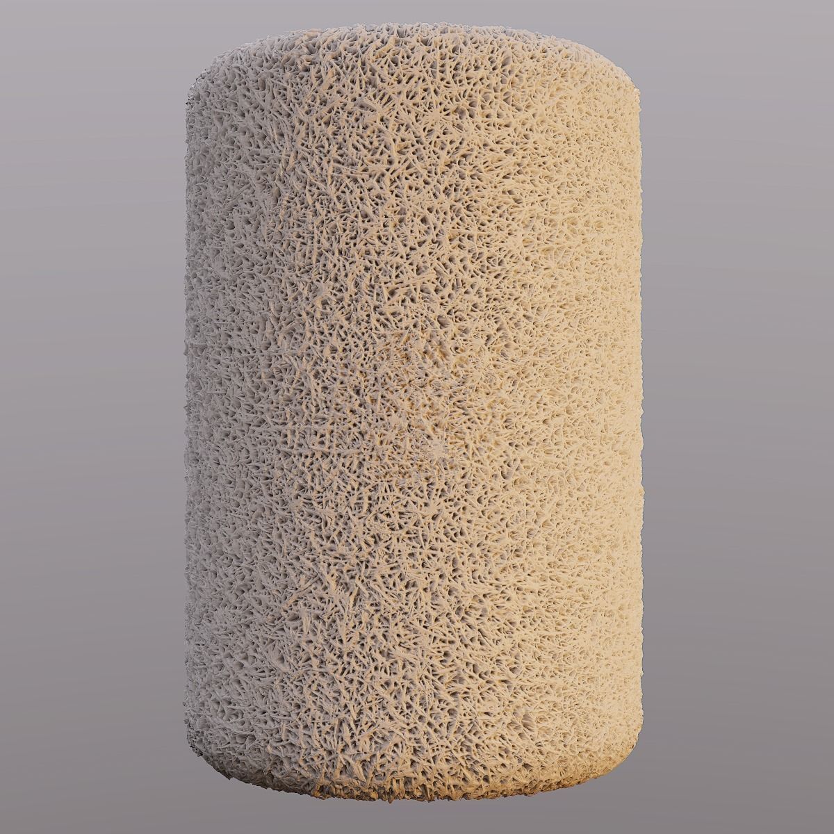 Moss PBR Texture Texture_3