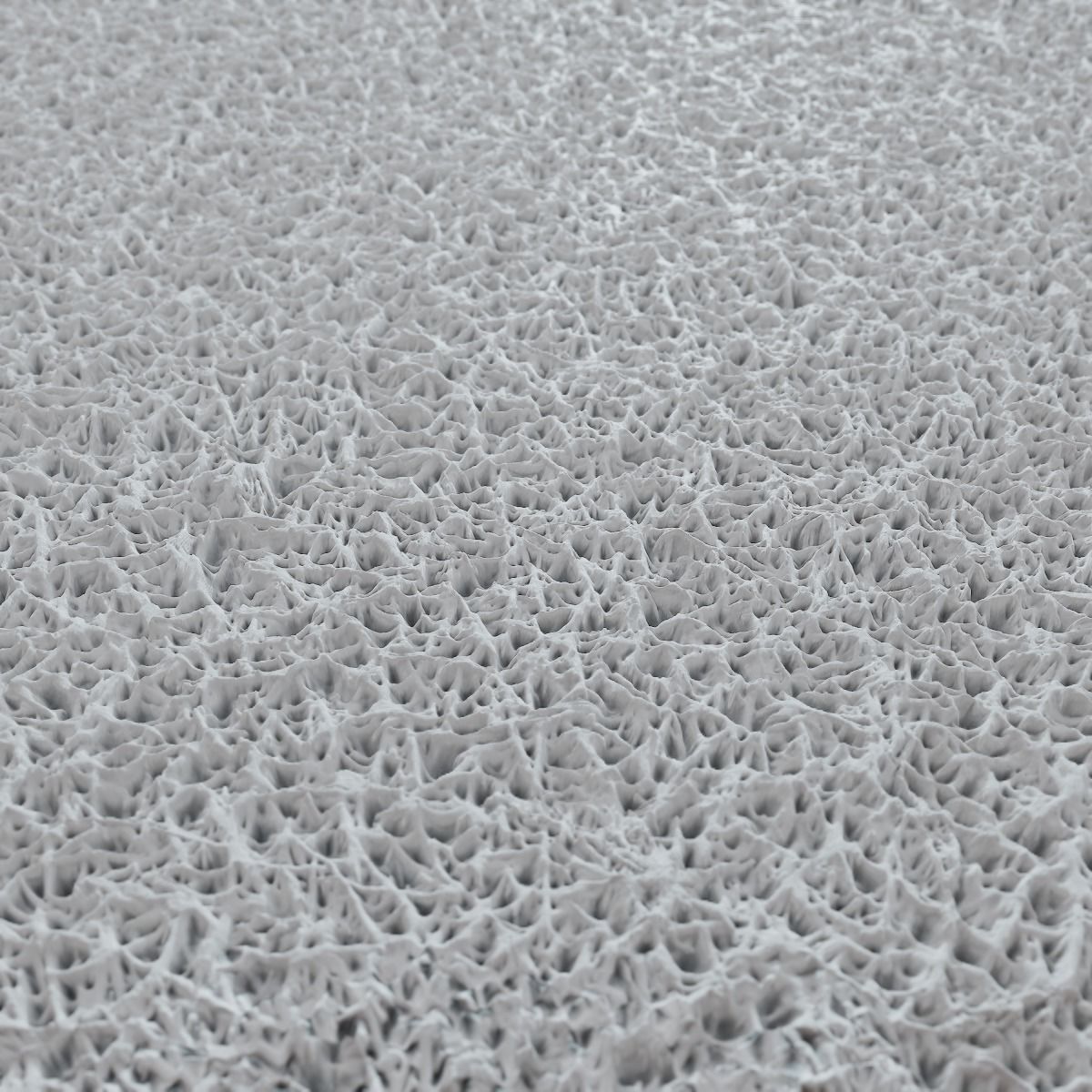 Moss PBR Texture Texture_15