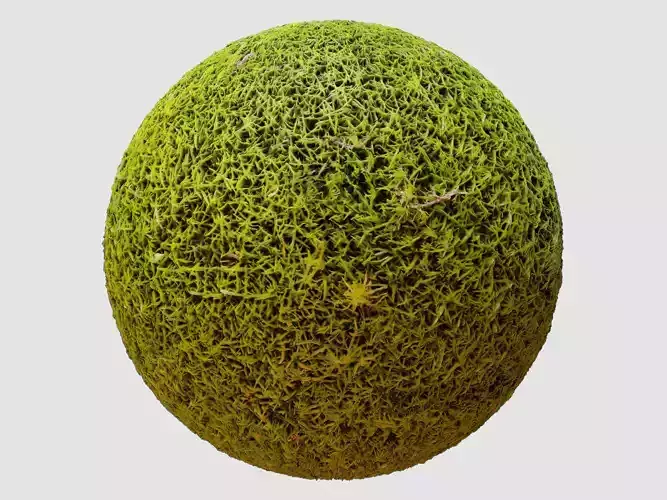 Moss PBR Texture