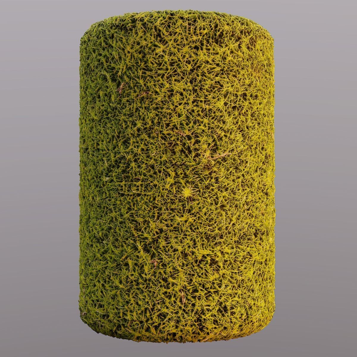 Moss PBR Texture Texture_2