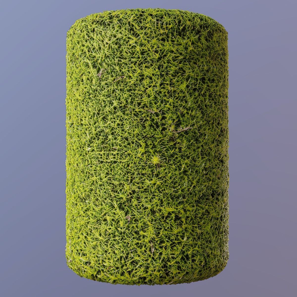 Moss PBR Texture Texture_8